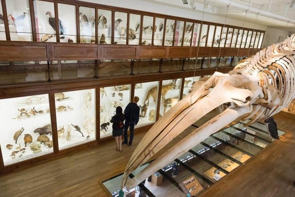 Lulu, Le Studio Du Chateau Lägenhet Nantes Exteriör bild
